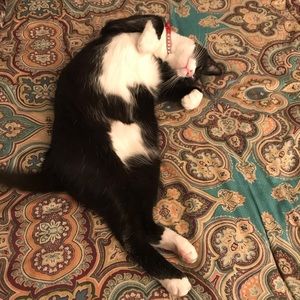 Meet your Posher, Helly